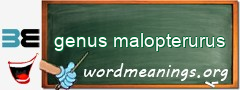 WordMeaning blackboard for genus malopterurus